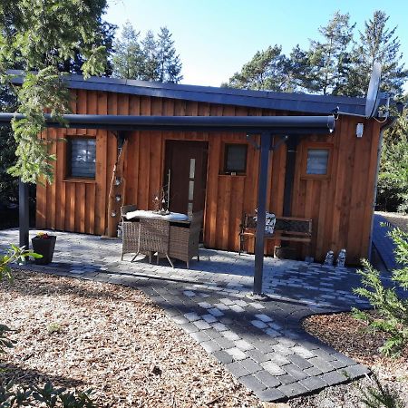Ferienhaus Leon Mit Sauna Rehburg-Loccum Esterno foto