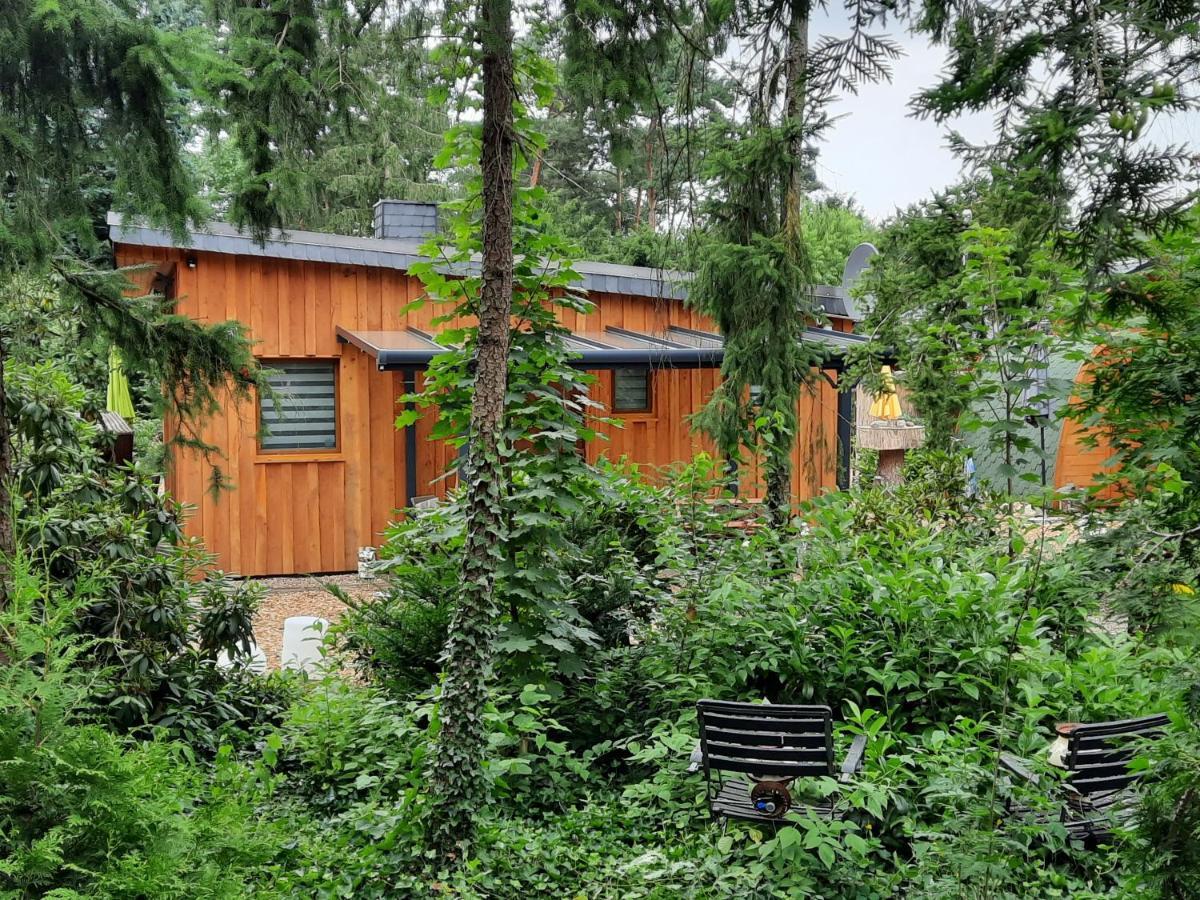 Ferienhaus Leon Mit Sauna Rehburg-Loccum Esterno foto